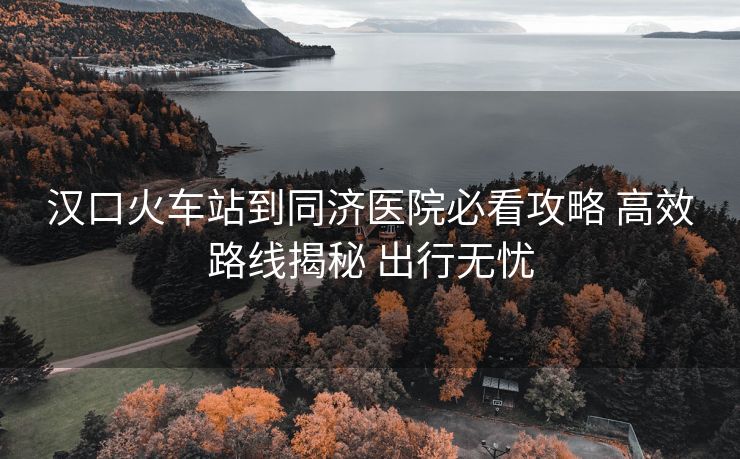 漢口火車站到同濟(jì)醫(yī)院必看攻略 高效路線揭秘 出行無憂