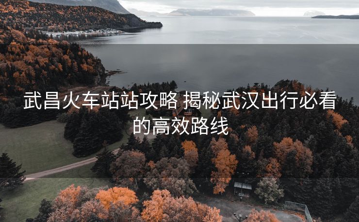 武昌火車(chē)站站攻略 揭秘武漢出行必看的高效路線(xiàn)